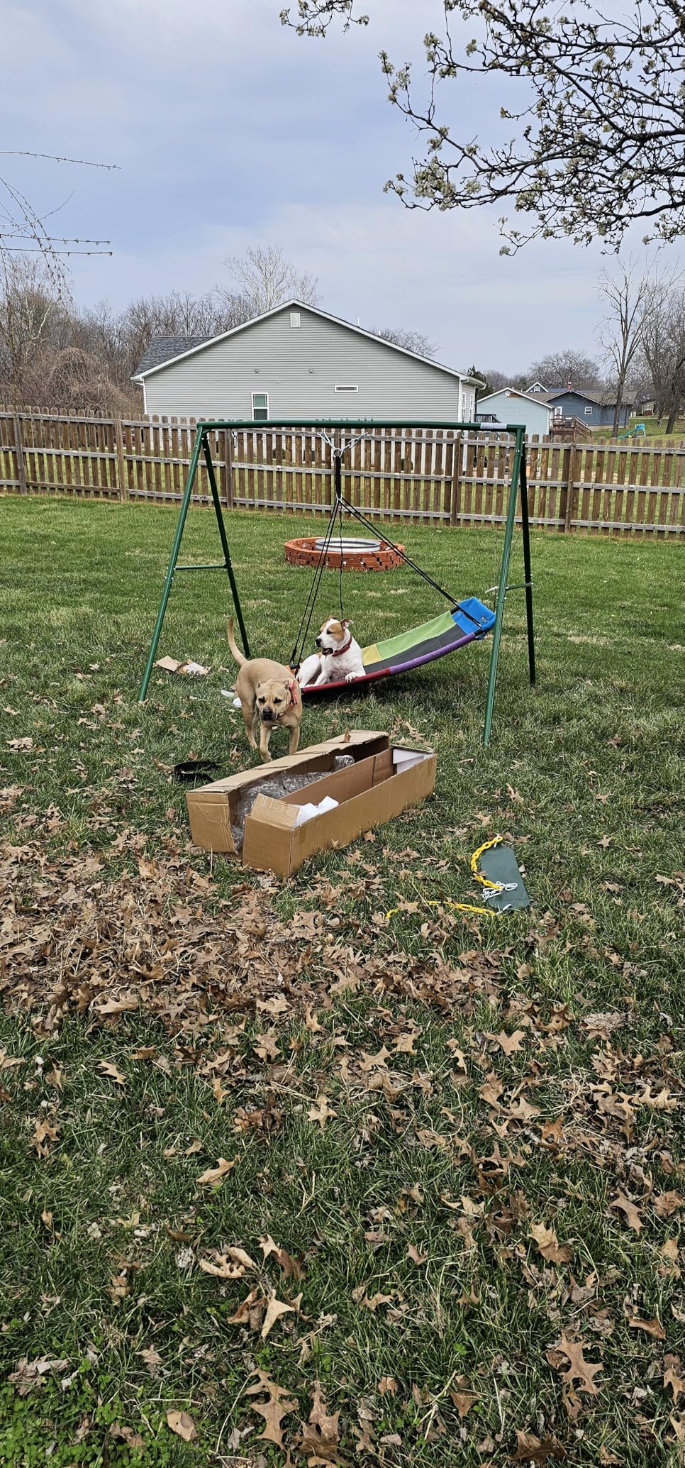 Trekassy 440lbs Capacity Swing Sets for Backyard - 2 Seat Outdoor Playset with Saucer & Belt Swing, Heavy-Duty A-Frame Metal Stand for Kids Family Fun (Patented) customer photo 1
