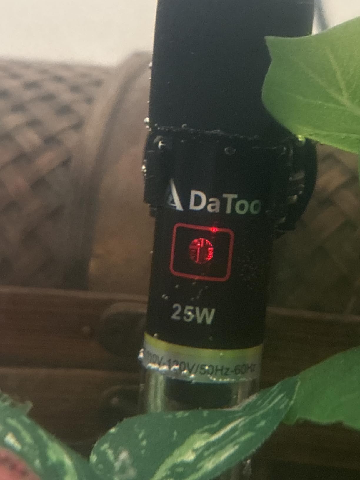 DaToo Mini Aquarium Heater 25W Small Fish Tank Heater 25 Watt with Free Thermometer Sticker customer photo 2
