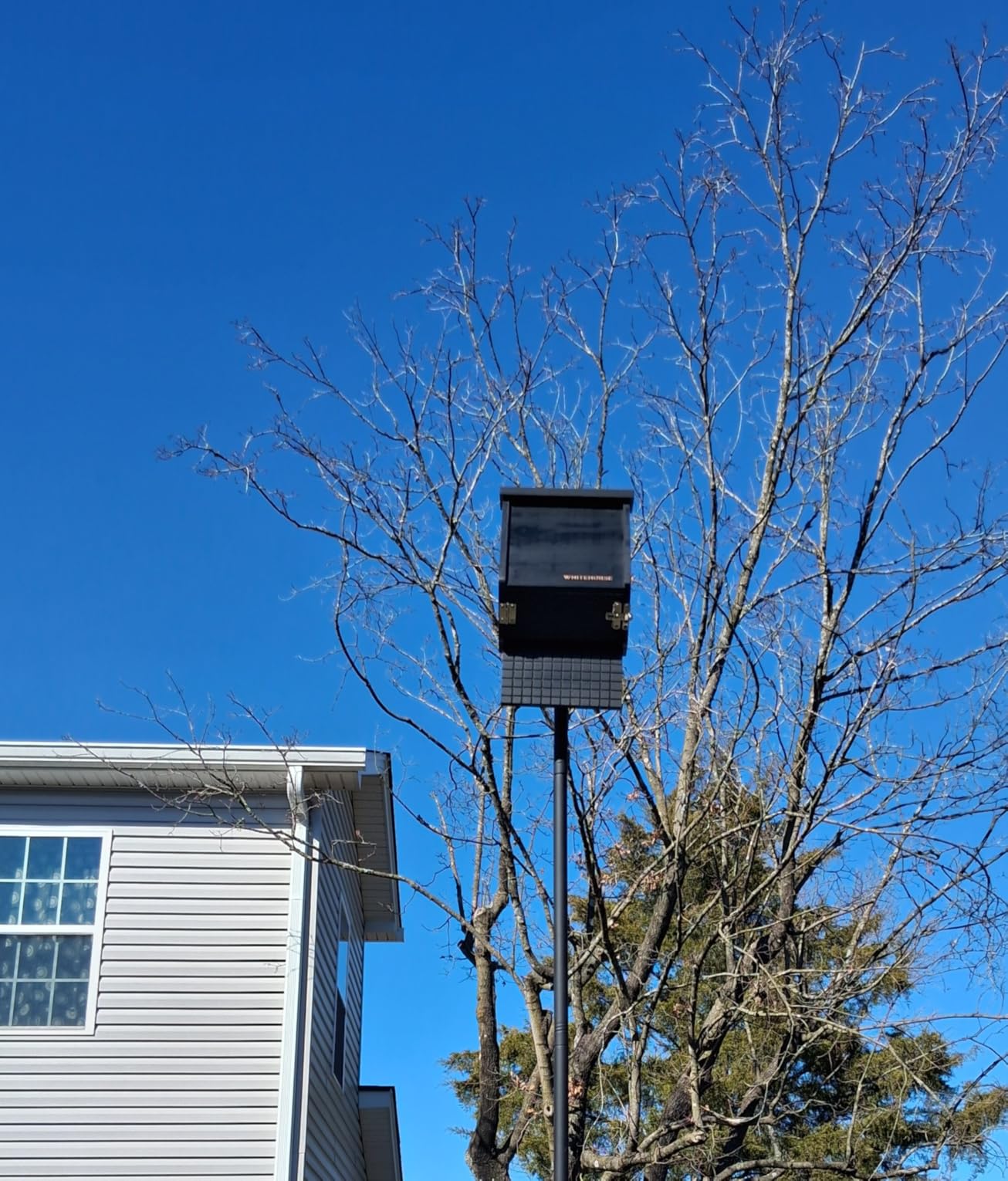 WHITEHORSE 4-Compartment Bat House - A Premium Cedar Bat Box that is Built to Last - Enjoy a Healthier Yard with Fewer Mosquitos While Supporting Bats (Black) customer photo 2