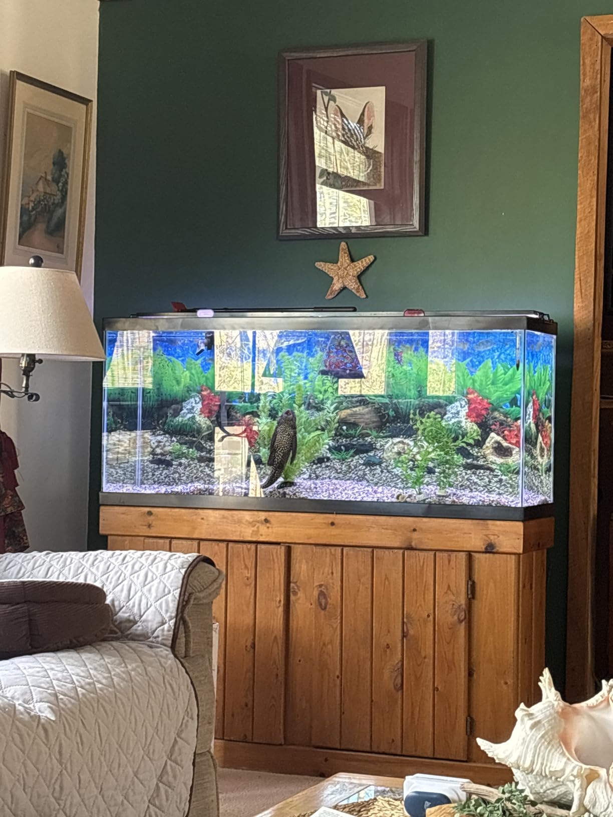 Tetra Glass Aquarium 5.5 Gallons, Rectangular Fish Tank customer photo 2