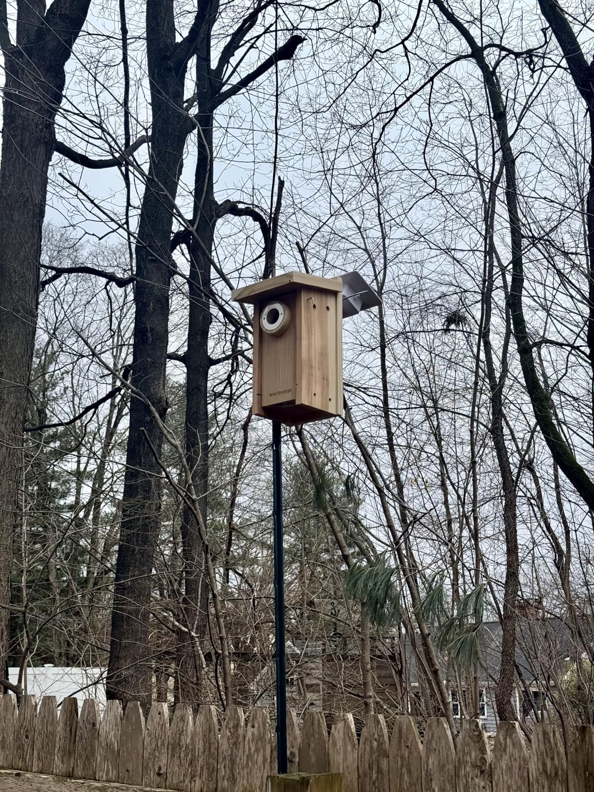 WHITEHORSE Bluebird House - Weatherproof Cedar Birdhouse Built to NABS Specs - 15