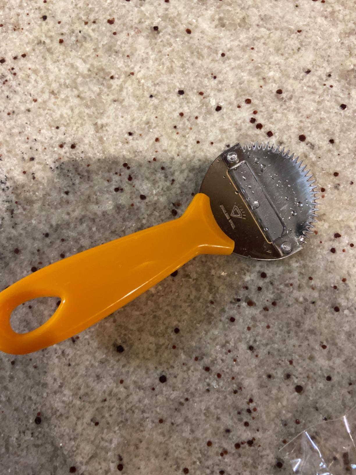 Plai Na Coconut Hand Grater Blade Slicer Shredded Scraper Coconut Meat Removal Knife Fish Skin Scale Scraper Remover Tool Vintage Yellow customer photo 1