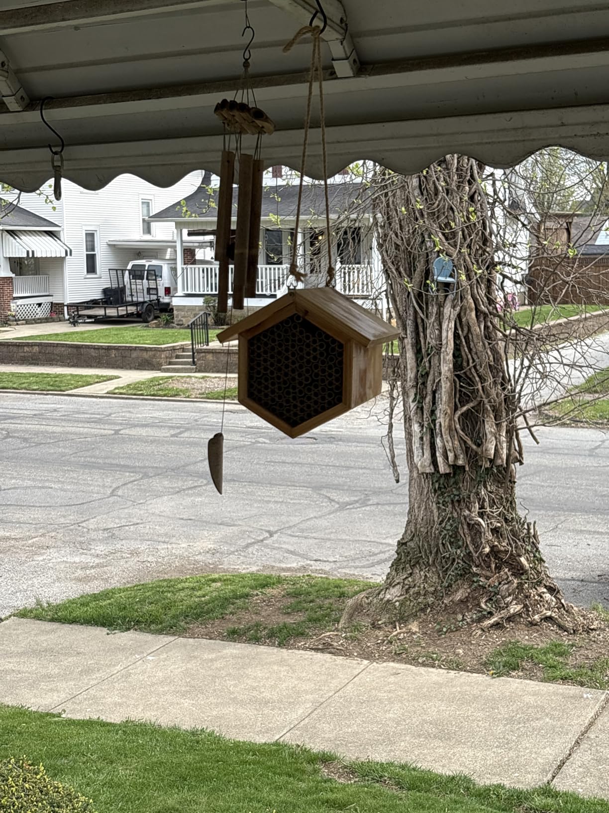 Mason Bee House Wax Coated Bee Hotel, Pollinator House Waterproof, Natural Handmade Wooden Mason Bee Hotel for Pollinating Bees Garden Supplies customer photo 1