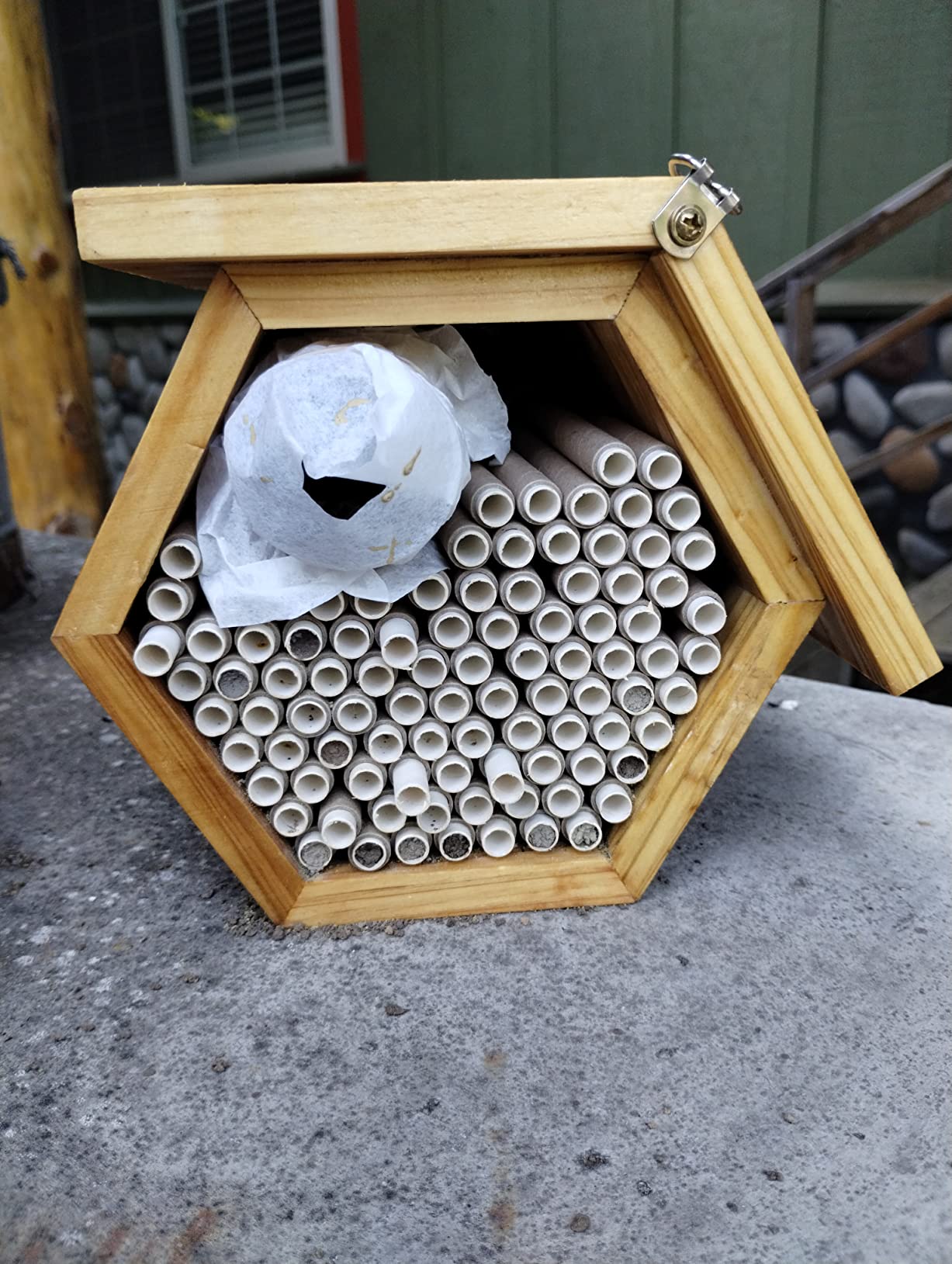 Mason Bee House Wax Coated Bee Hotel, Pollinator House Waterproof, Natural Handmade Wooden Mason Bee Hotel for Pollinating Bees Garden Supplies customer photo 2