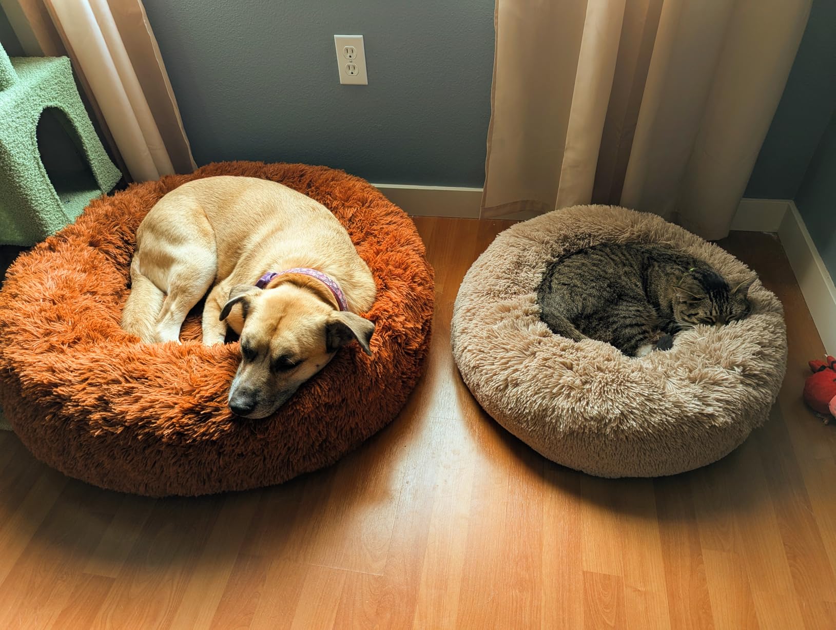 Bedsure Calming Dog Bed for Small Dogs - Donut Washable Small Puppy Bed, 23 inches Anti-Slip Round Fluffy Plush Faux Fur Large Cat Bed, Fits up to 25 lbs Pets, Camel customer photo 2