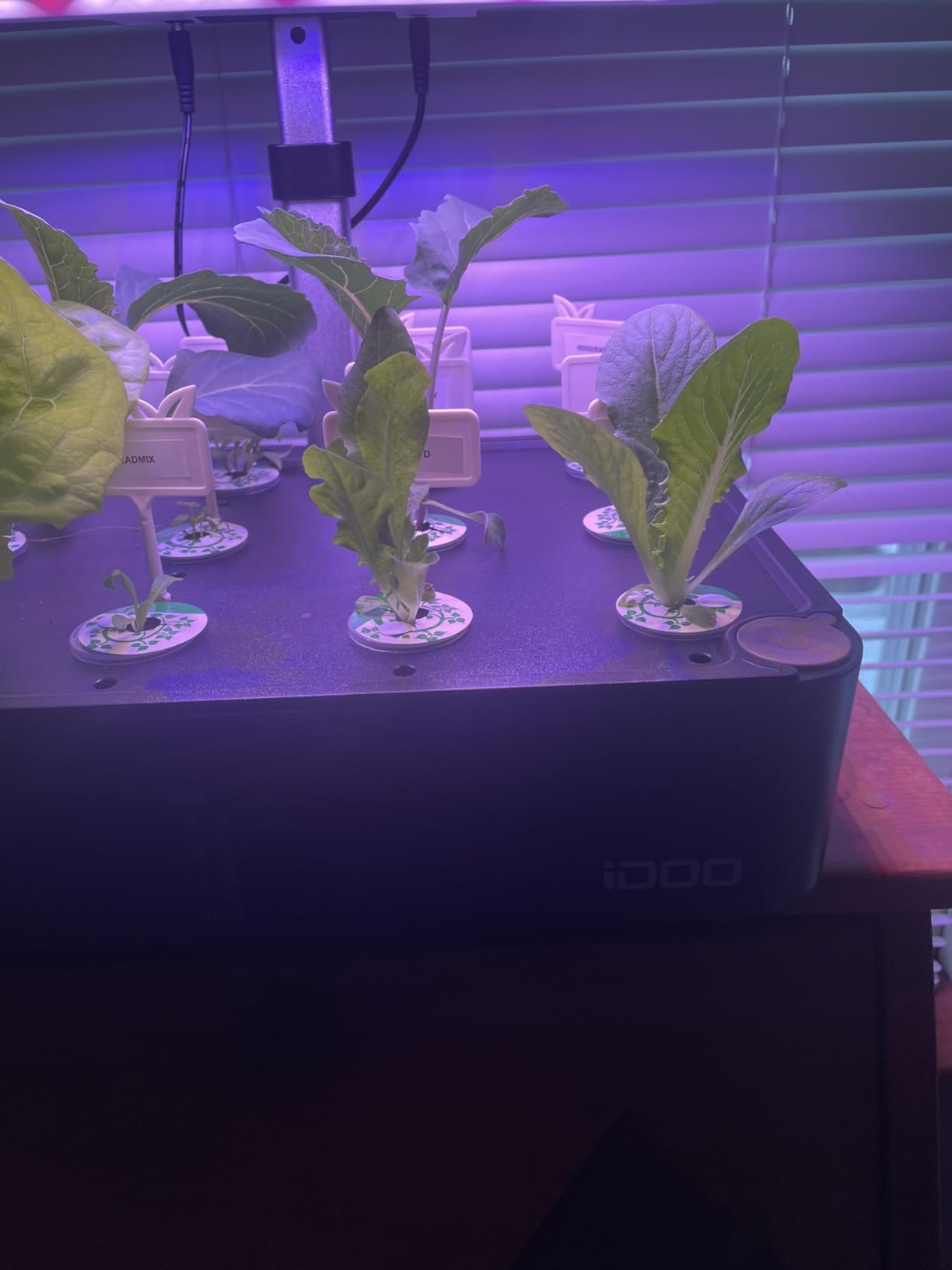 iDOO for Dad, Hydroponics Growing System Kit 12Pods, Indoor Herb Garden, with LED Grow Light, Built-in Fan, Auto-Timer, Adjustable Height Up to 11.3