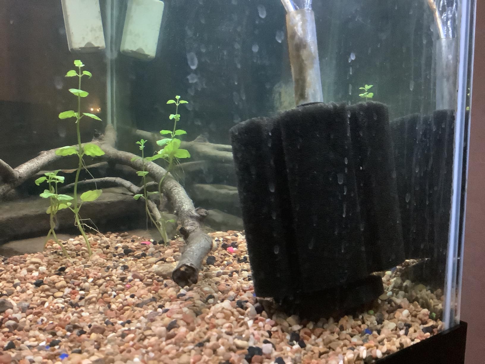 AQUANEAT Aquarium Air Powered Sponge Filter, Fish Tank Bio Bubble Filter with Airline Tubing, Valves, Suction Cup (up to 10Gal) customer photo 1