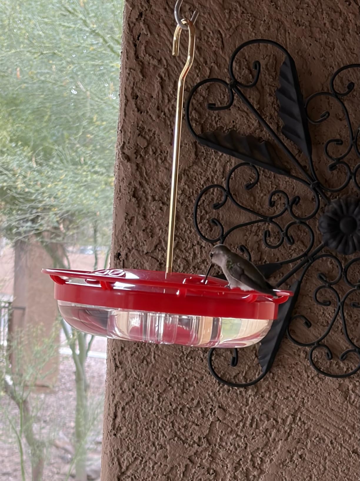 eWonLife 2 Pack Hummingbird Feeders for Outdoors, 16oz Leak-Proof Saucer Humming Bird Feeder with Integrated Ant Moat, Bee Proof 5 Feeding Ports, Brush, Easy Clean & Refill, Hanging Garden Yard Décor customer photo 2