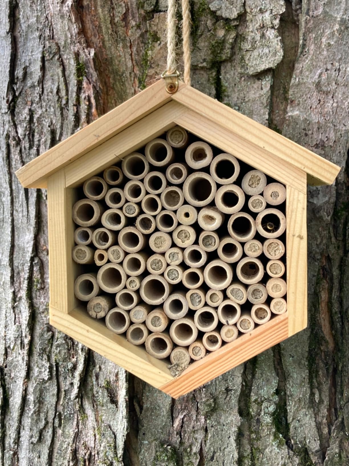 Mason Bee House Native Bee Hive Hexagon Bee House Handmade Wooden Mason Bee Box Habitat Home Hotel with Tubes -Attracts Peaceful Bee Pollinators to Enhance Your Garden's Productivity customer photo 2