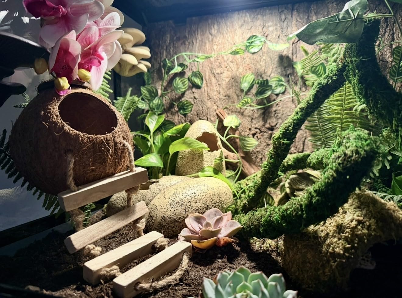 REPTI ZOO 50 Gallon Reptile Glass Tank Terrarium 2 in 1 Side Meshes and Side Glasses customer photo 2