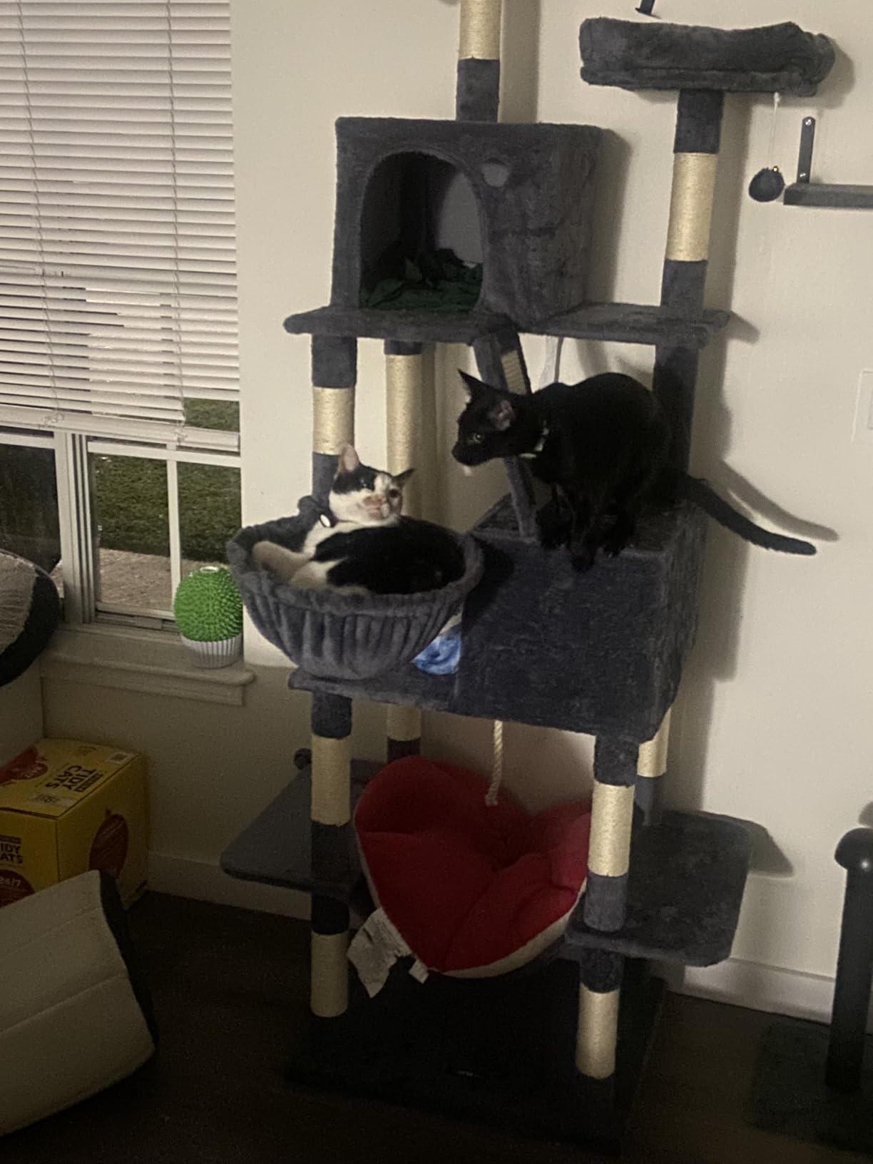 Feandrea Cat Tree, 81.1-Inch Large Cat Tower, Multi-Level Plush Condo with 13 Scratching Posts, 2 Perches, 2 Caves, Basket, Hammock, Pompoms, Smoky Gray UPCT190G01 customer photo 1
