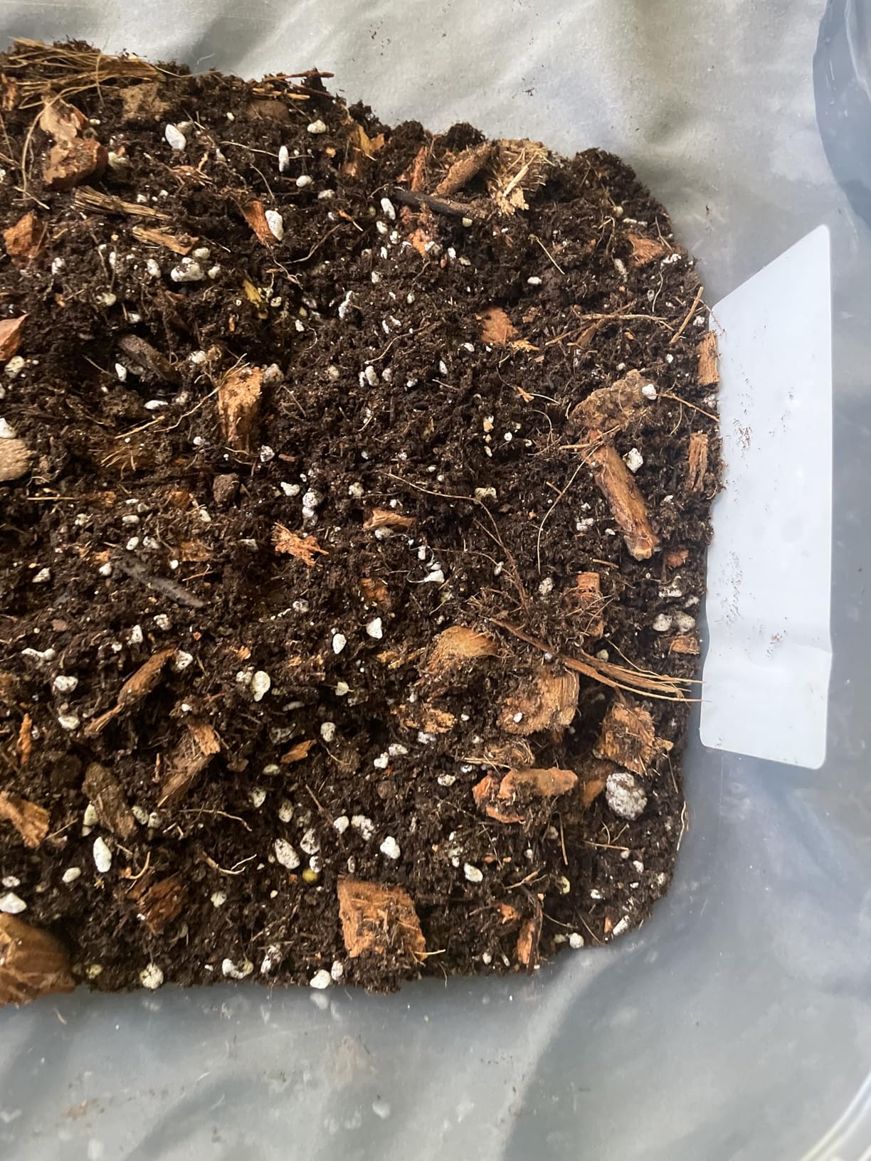 Brut Organic Worm Castings for Plants 5 LB - Natural Nutrients, Fertility Builder, Plant Food for Potting Soil and Garden Soil customer photo 1