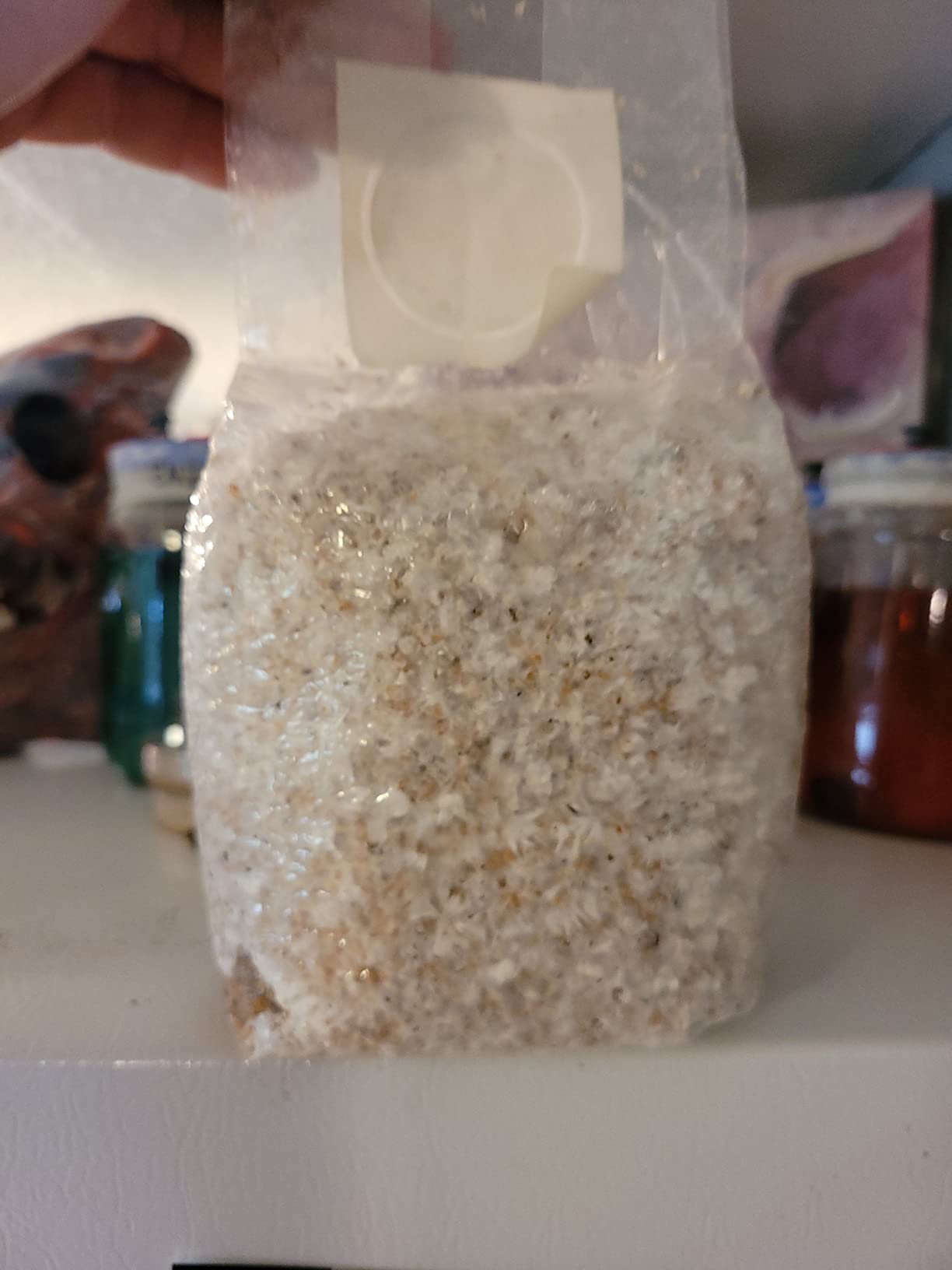 40 Pack, Mushroom Grow and Spawn Bags - Extra Thick Polypropylene Material, Tear Resistant - Size 13