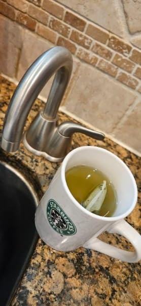 FGO Organic Sencha Green Tea, 100 Count, Eco-Conscious Tea Bags, Resealable Bag, Sourced From Japan customer photo 2