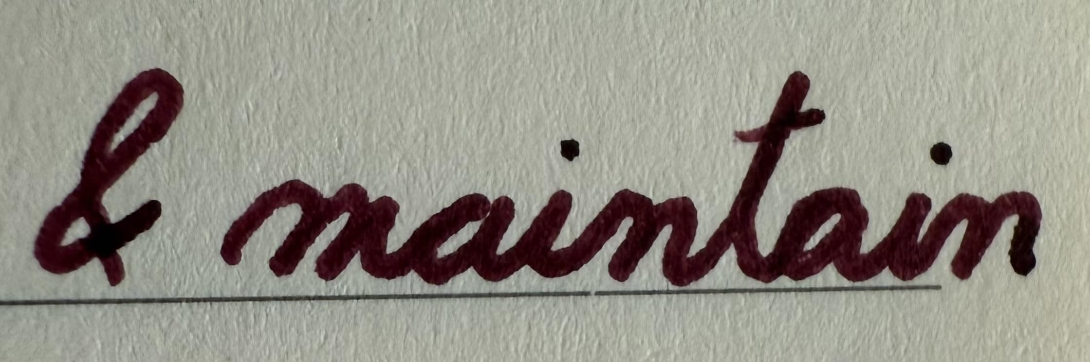 Diamine Fountain Pen Ink 30ml - Writer's Blood customer photo 1