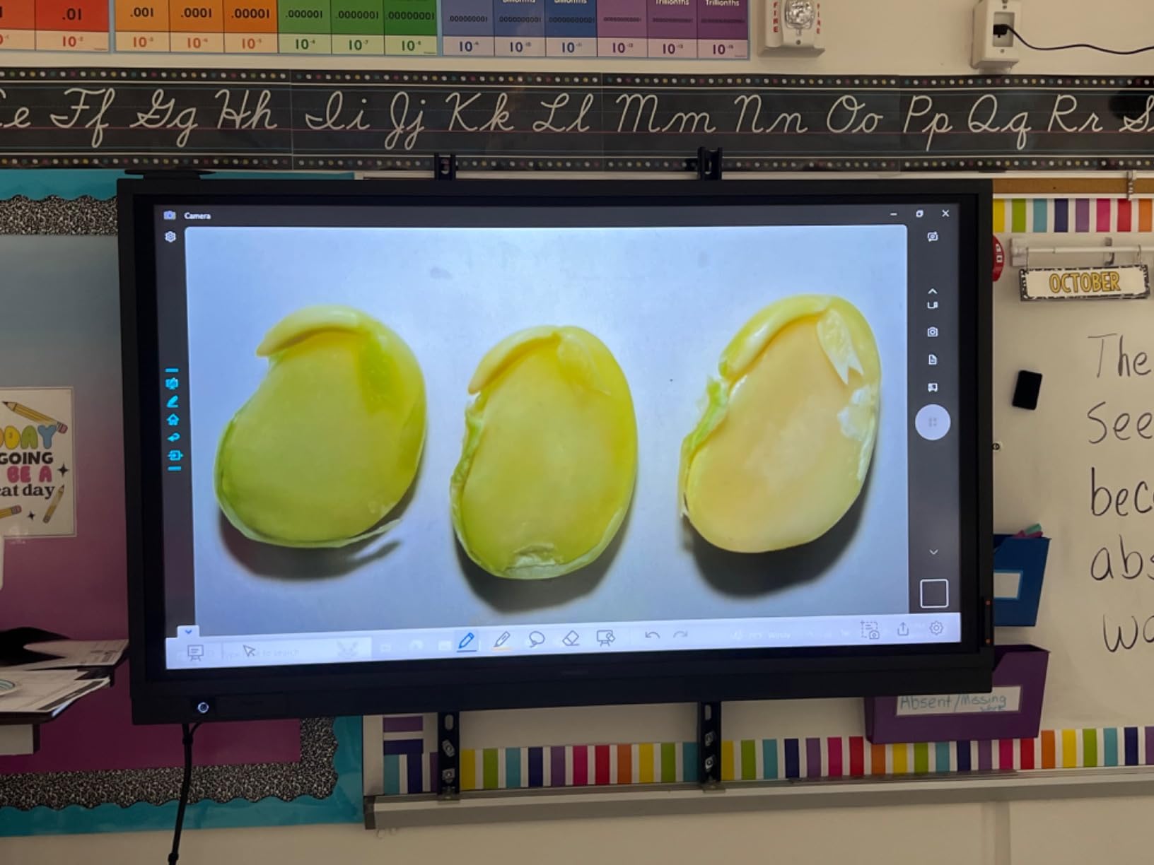 INSWAN INS-2 4K USB Document Camera - 13MP, Dual Auto-Focus, LED Light and Microphone customer photo 1
