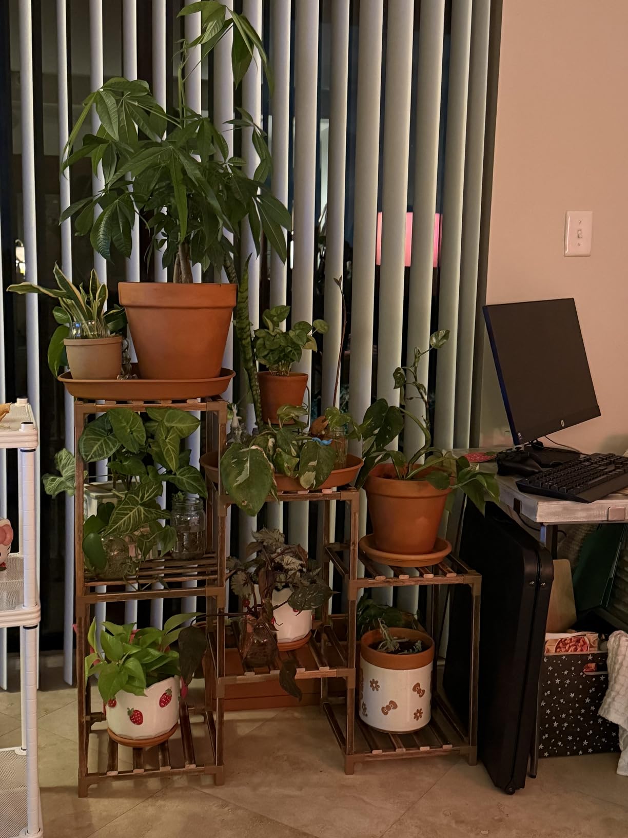 Bamworld Plant Stand Indoor Plant Shelf Outdoor Wood Plant Rack for Multiple Plants 3 Tiers Ladder Plant Holder for Living Room Patio Boho Home Decor for Gardening customer photo 1