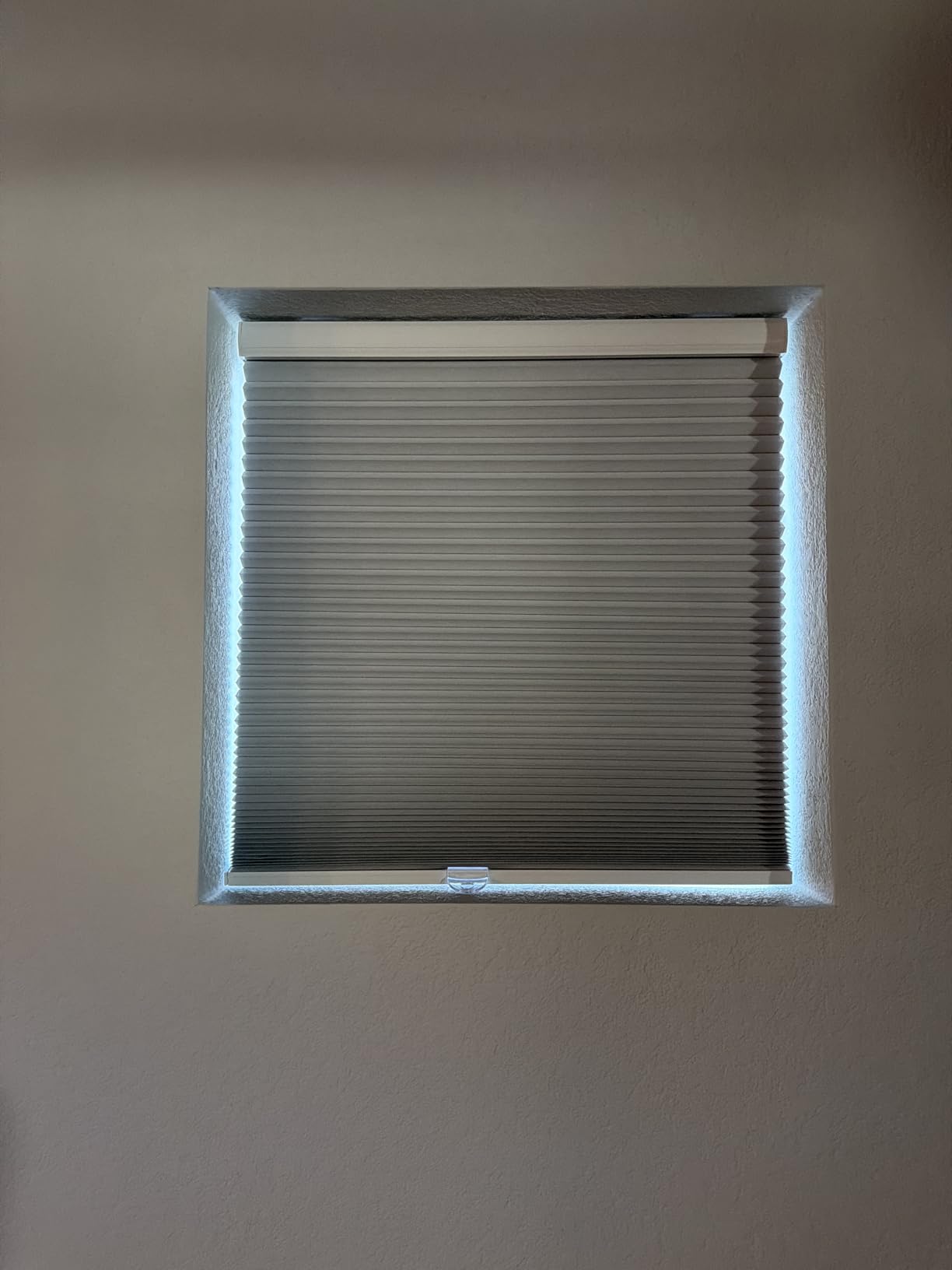 MYshade Cordless Blackout Cellular Shades for Windows, Honeycomb Window Shades with Thermal Insulation, Child & Pet Safe Room Darkening Shade, Easy Install, 24