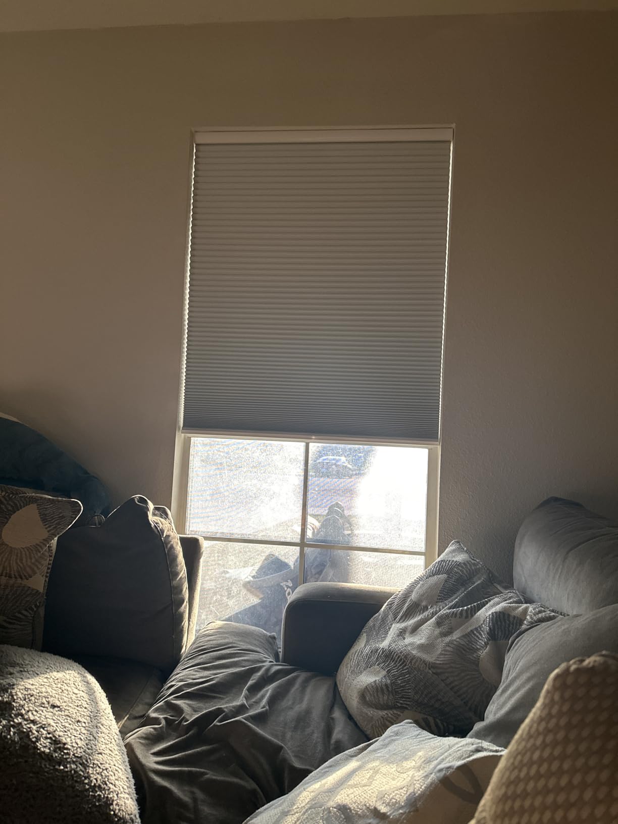 MYshade Cordless Blackout Cellular Shades for Windows, Honeycomb Window Shades with Thermal Insulation, Child & Pet Safe Room Darkening Shade, Easy Install, 24