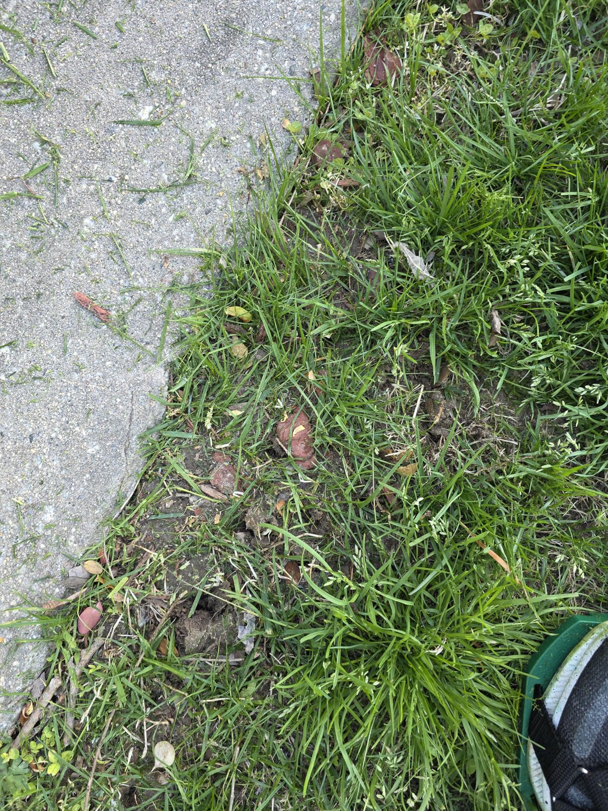 Ohuhu Lawn Aerator Shoes with Hook & Loop Straps, All New Unique Design Free-Installation Heavy Duty Spiked Aerating Sandals, One-Size-Fits-All for Yard Patio Lawn Garden customer photo 2