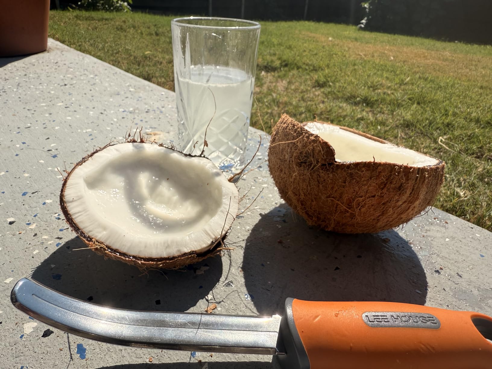 Coconut Meat Remover Knife, Coconut Tool, Coconut Meat Removal Tool Durable Silicone Handle Stainless Steel Coconut Opener Scraper customer photo 1