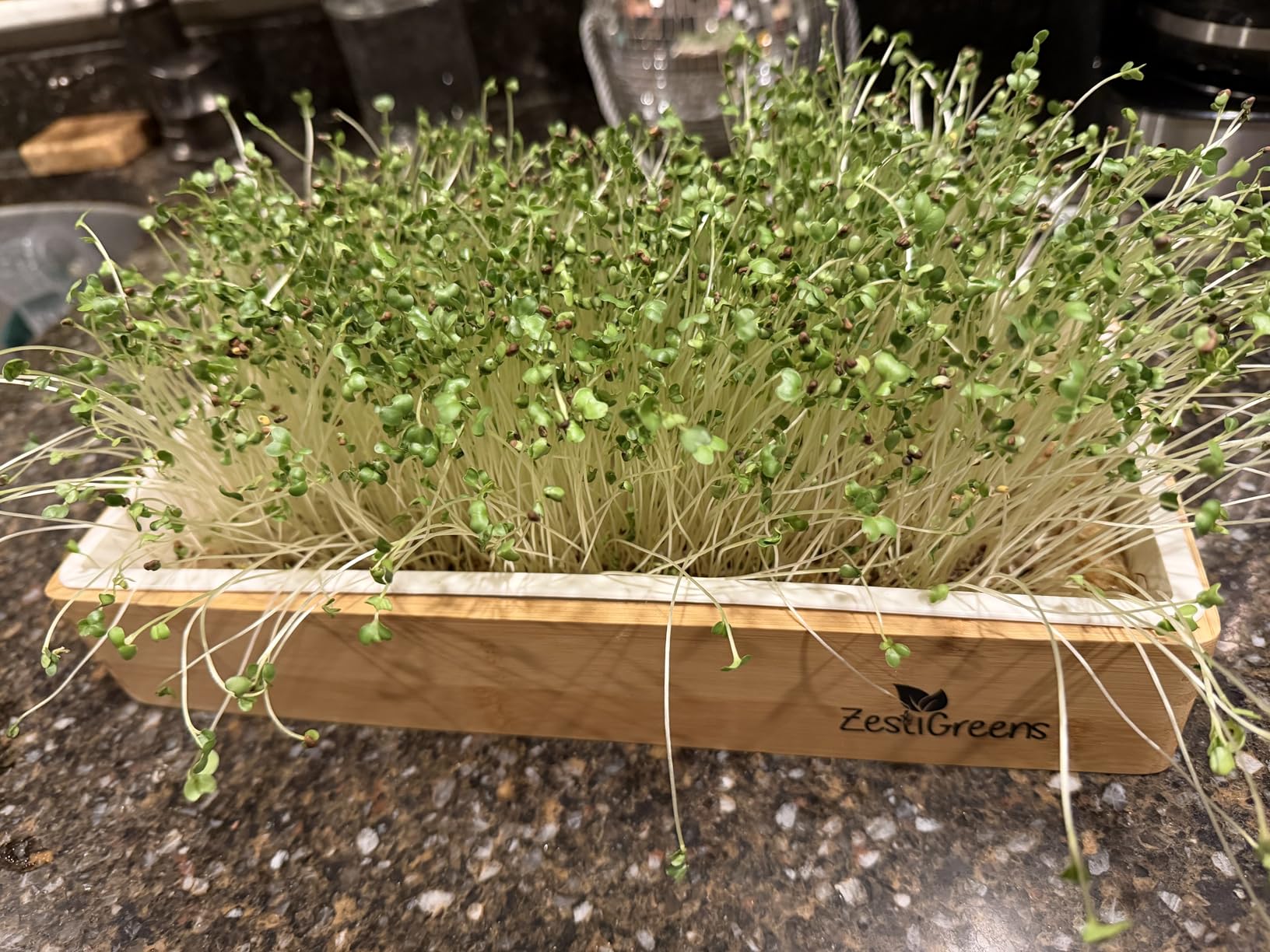 ZESTIGREENS Organic Self-Watering Microgreens Growing Kit - Reusable Indoor Grow Tray with Organic Seeds, Grow Mats & Bamboo Frame - Easy No-Soil Microgreens Starter Kit customer photo 2