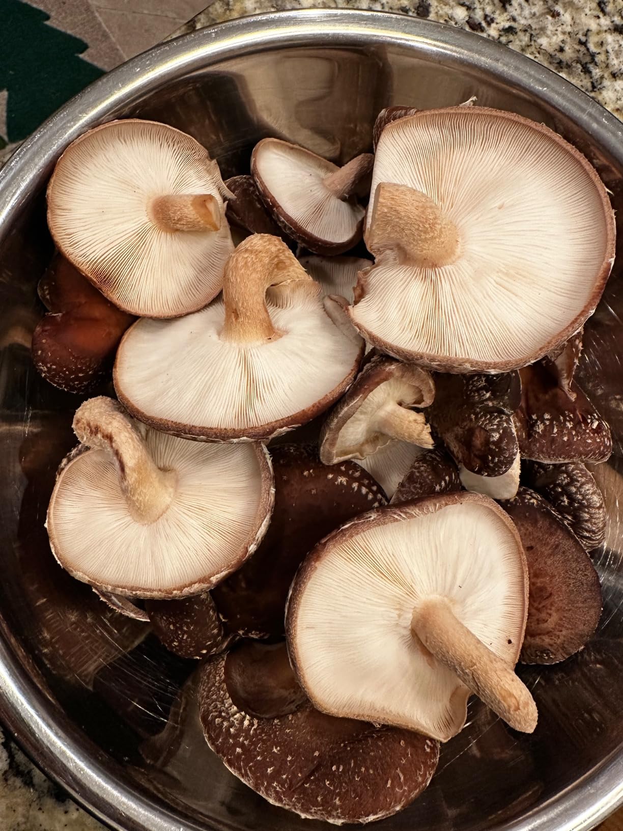 North Spore Organic Shiitake (100 ct) Mushroom Plugs for Logs | Premium Quality Mushroom Plug Spawn | Handmade in Maine, USA | Grow Gourmet Mushrooms Outdoors on Logs | Lentinula edodes customer photo 1