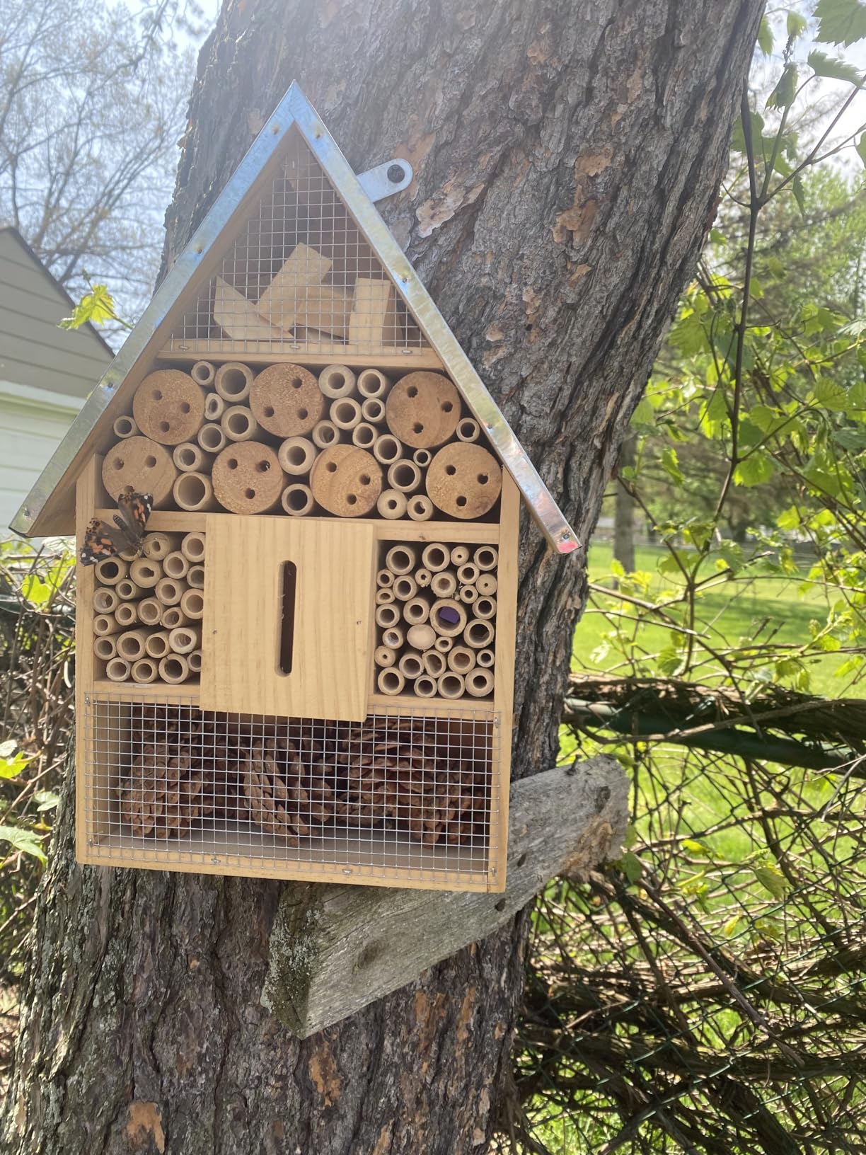 Wooden Mason Insect Bee Butterfly House,Insect Hotel,an Outdoor Hanging Bamboo Habitat for Bee Butterfly Ladybugs Live,Bee Box,Butterfly Habitat for Garden,9 x 15.7 x 2.5 Inch customer photo 1