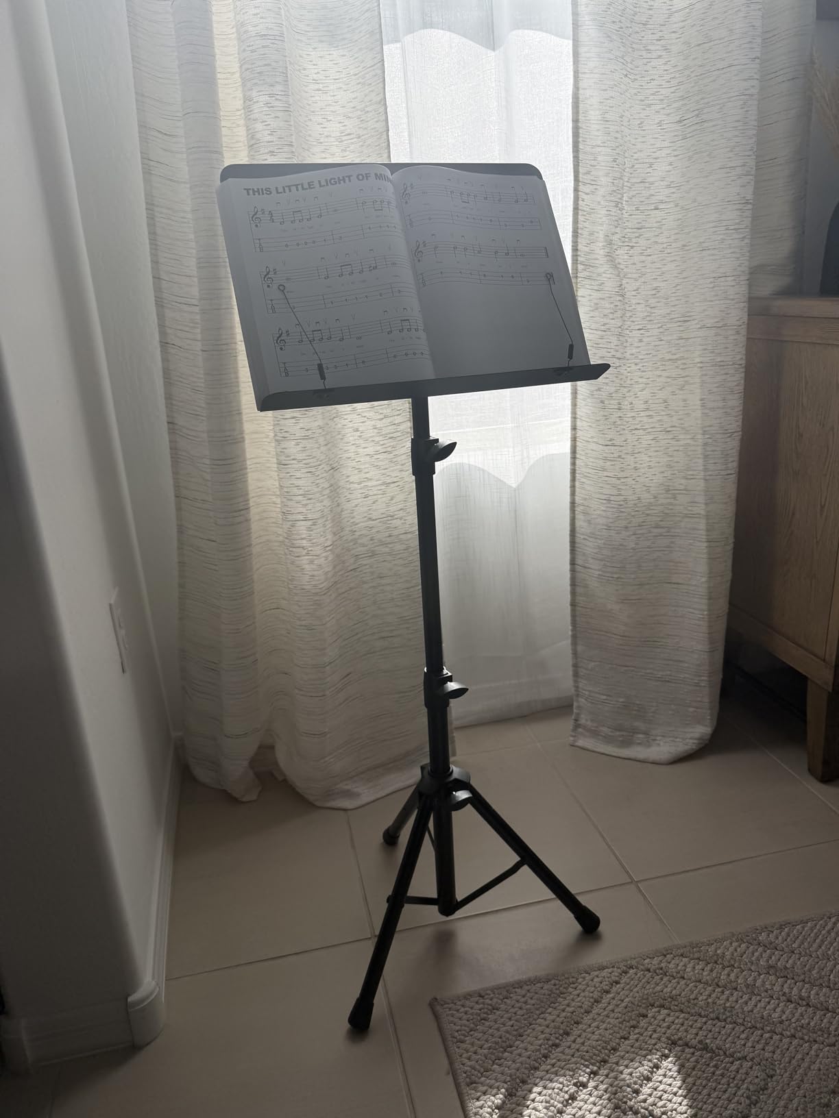 Vekkia Professional Portable Sheet Music Stand - Folding Adjustable Holder, with Carrying Bag, Sturdy for Instrumental Performance, Band & Travel customer photo 2