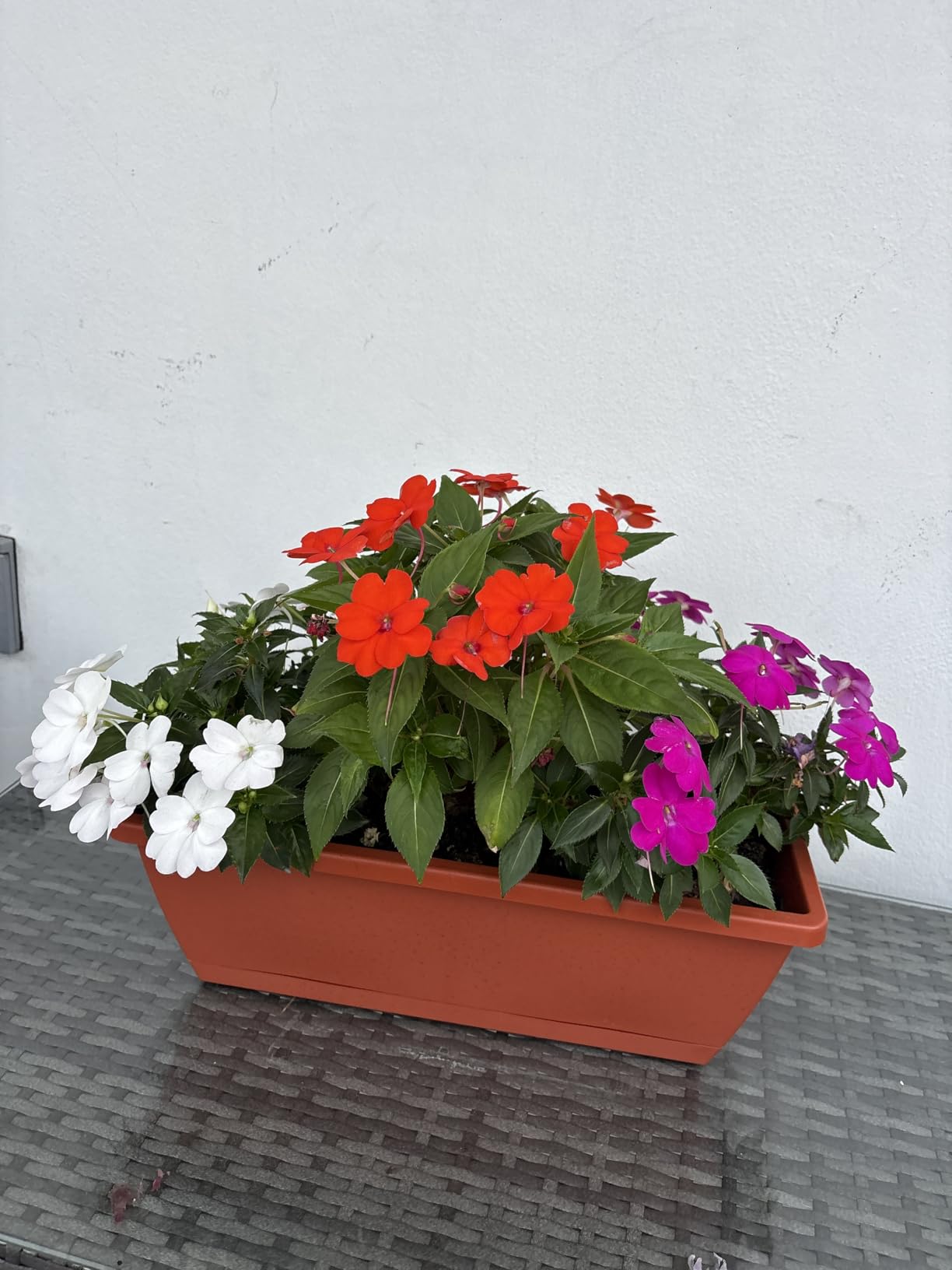 Window Box Planter, 7 Pack Plastic Vegetable Flower Planters Boxes 17 Inches Rectangular Flower Pots with Saucers for Indoor Outdoor Garden, Patio, Home Decor (Red) customer photo 1