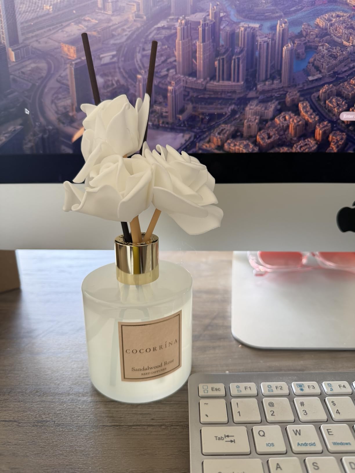 Cocorrína Premium Reed Diffuser Set with Preserved Baby's Breath & Cotton Stick Sandalwood Rose | 6.7oz Scent Fragrance Oil Diffuser for Bedroom Bathroom Home Décor customer photo 1
