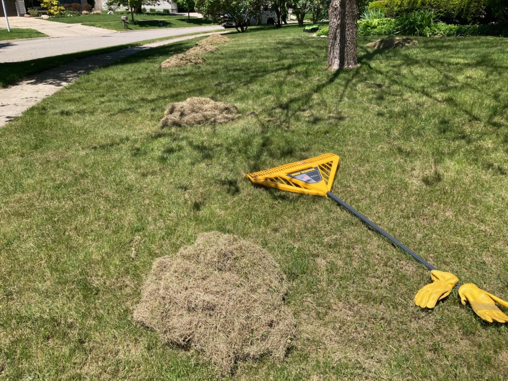 Greenworks 13 Amp 14-Inch Corded Dethatcher / Scarifier customer photo 2