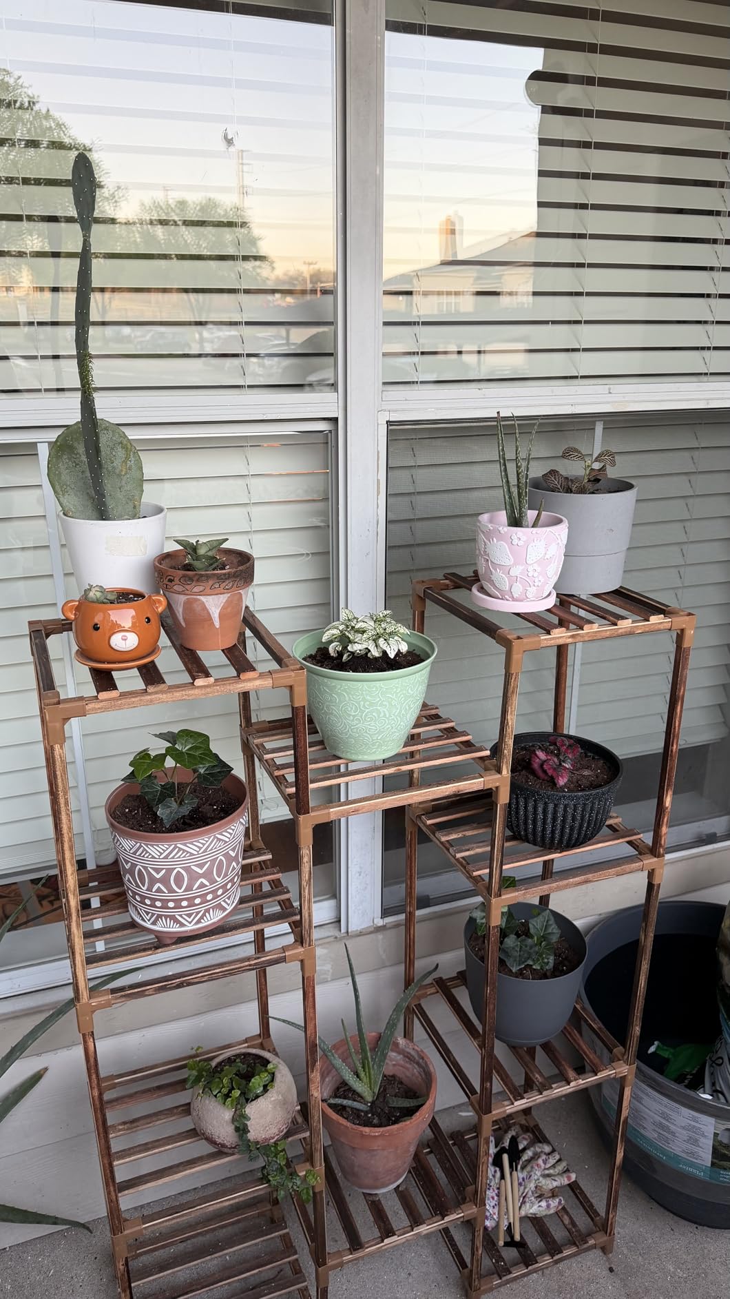 Uneedem Plant Stand Indoor Outdoor, Tall Plant Shelf for Multiple Plants, 10 tiers 11 Pot Large Plants Holder Rack Wood Plant Shelves for Room Corner Balcony Garden Patio customer photo 1