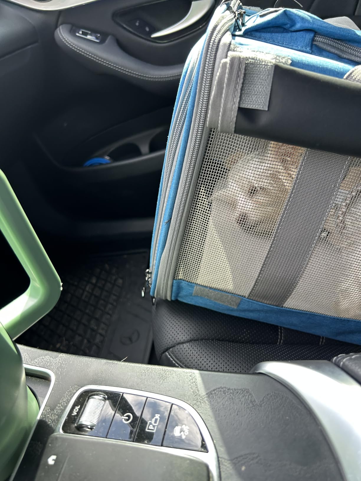 Pet Carrier for Large Cats, Soft-Sided Cat Carrier for Medium Big Cats and Puppy up to 20lbs, Washable Dog Carrier Privacy Protection for Home Outdoor Travel customer photo 1