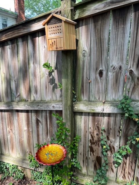 POLLIBEE Mason Bee House -Wax Coated Mason House for The Garden, Natural Handmade Wooden Waterproof Mason Home, Attracts Peaceful Bee Pollinators,Native Mason Bee Habitat customer photo 1