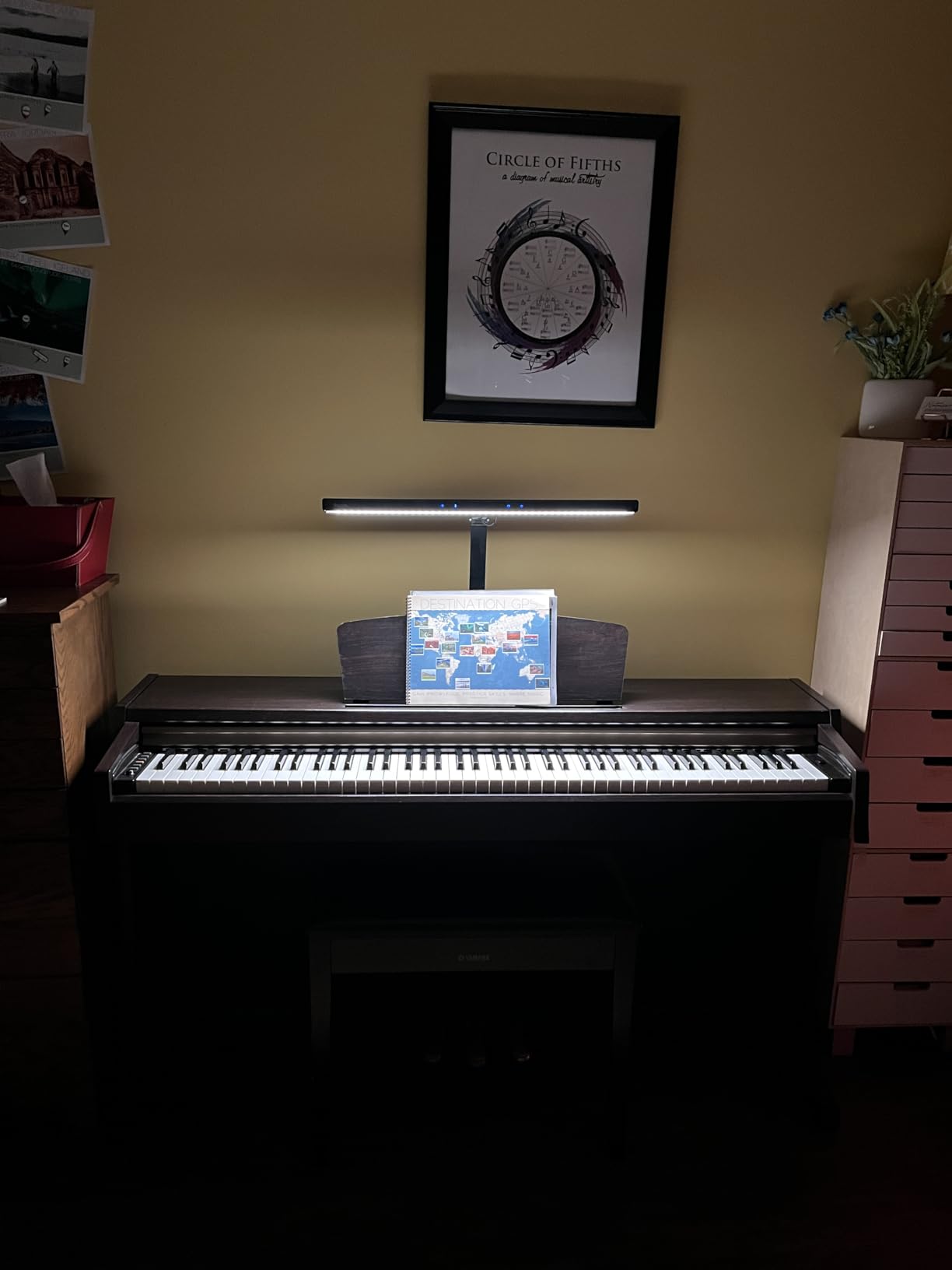 Quntis 55'' Ultra Wide Illumination Piano Light, 12W LED Professional Eye Caring Piano Lamp with Auto-Dimming customer photo 2