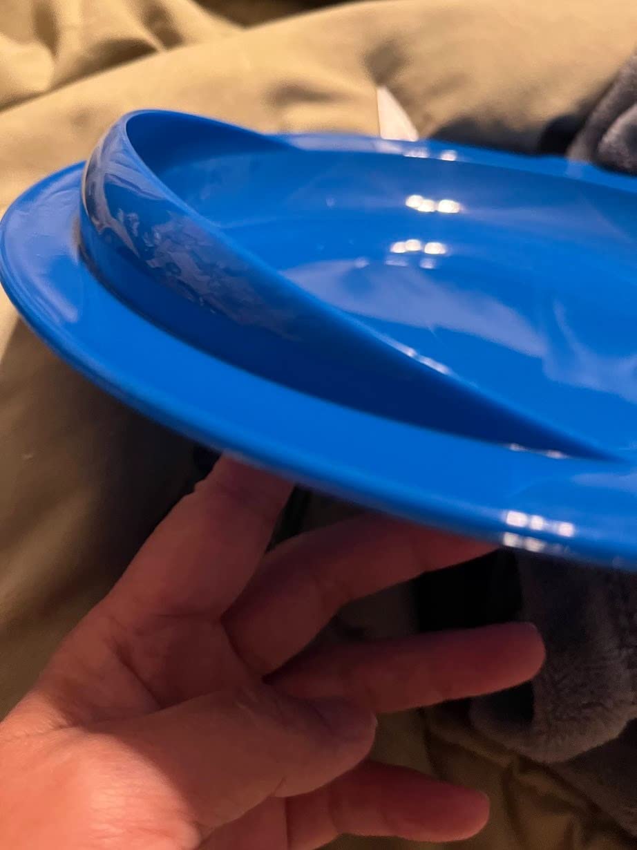 Vive Spill-Proof Scoop Plate, 9