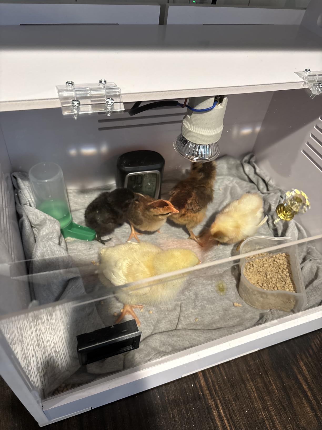 Intelligent Brooder Box 10-15 Newborns Chicks Quail Birds Small Animals Manual Incubators Poultry Heater Breeding Box customer photo 1