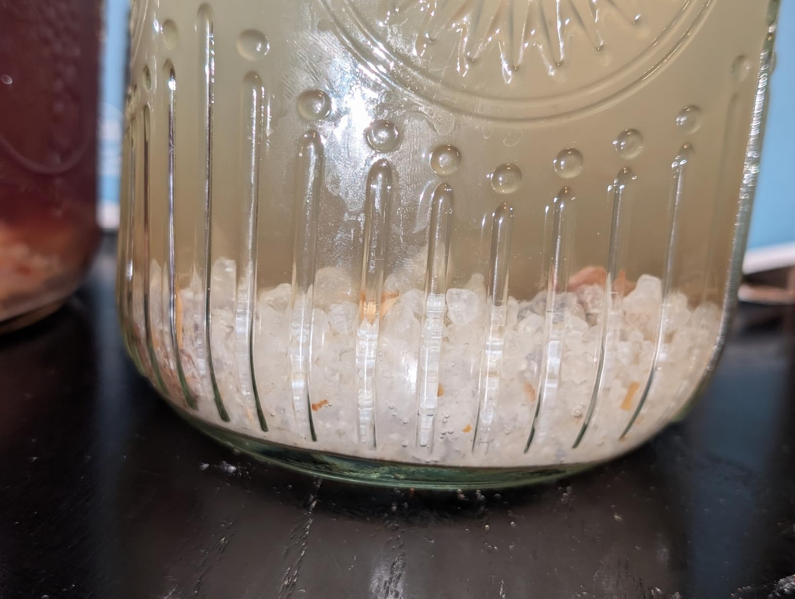 Natural Probio Water Kefir Grains - Starter Culture Kit - Fruit Kefir + Complete Guide, Recipe & Tips + Ebook Library Access + Customer Support (0.35 oz dehydrated / 2.12 oz rehydrated) customer photo 2