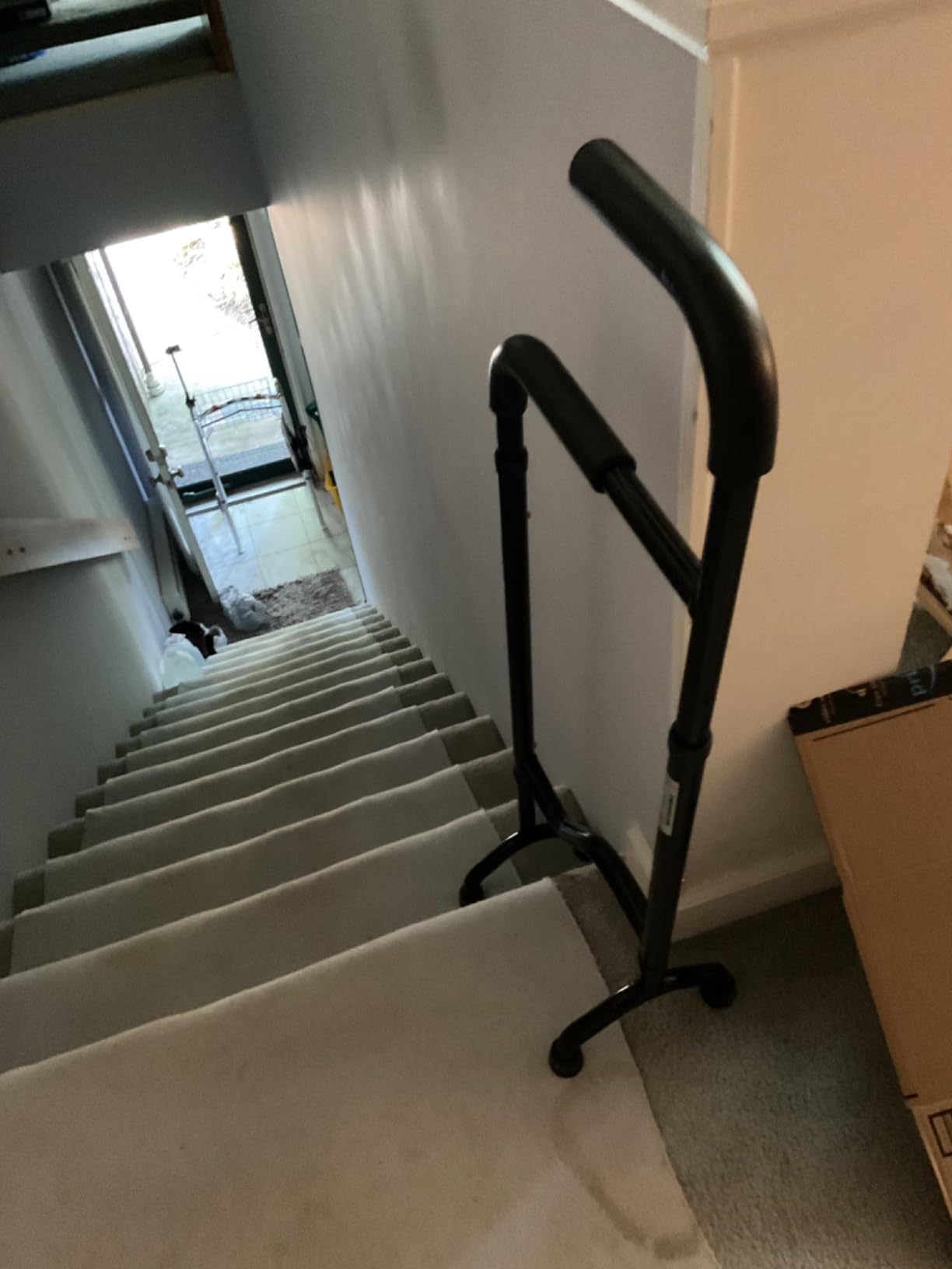 Stair Assist Cane - Less Effort Going Up, Less Impact Coming Down, Lightweight customer photo 1