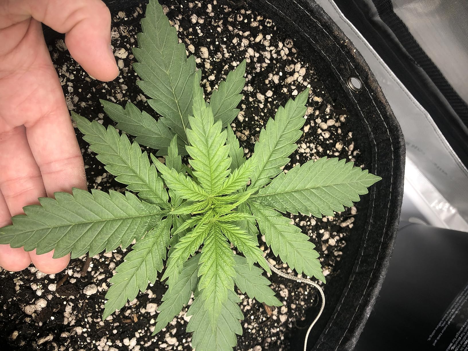 AC Infinity AI Grow System 3x3, 3-Plant Kit w/Self-Learning AI Controller, Dynamic Airflow & LM301H LED Lighting Control, 2000D Mylar Tent w/Lab-Tested Reflectivity, Largest Zippered Window customer photo 2