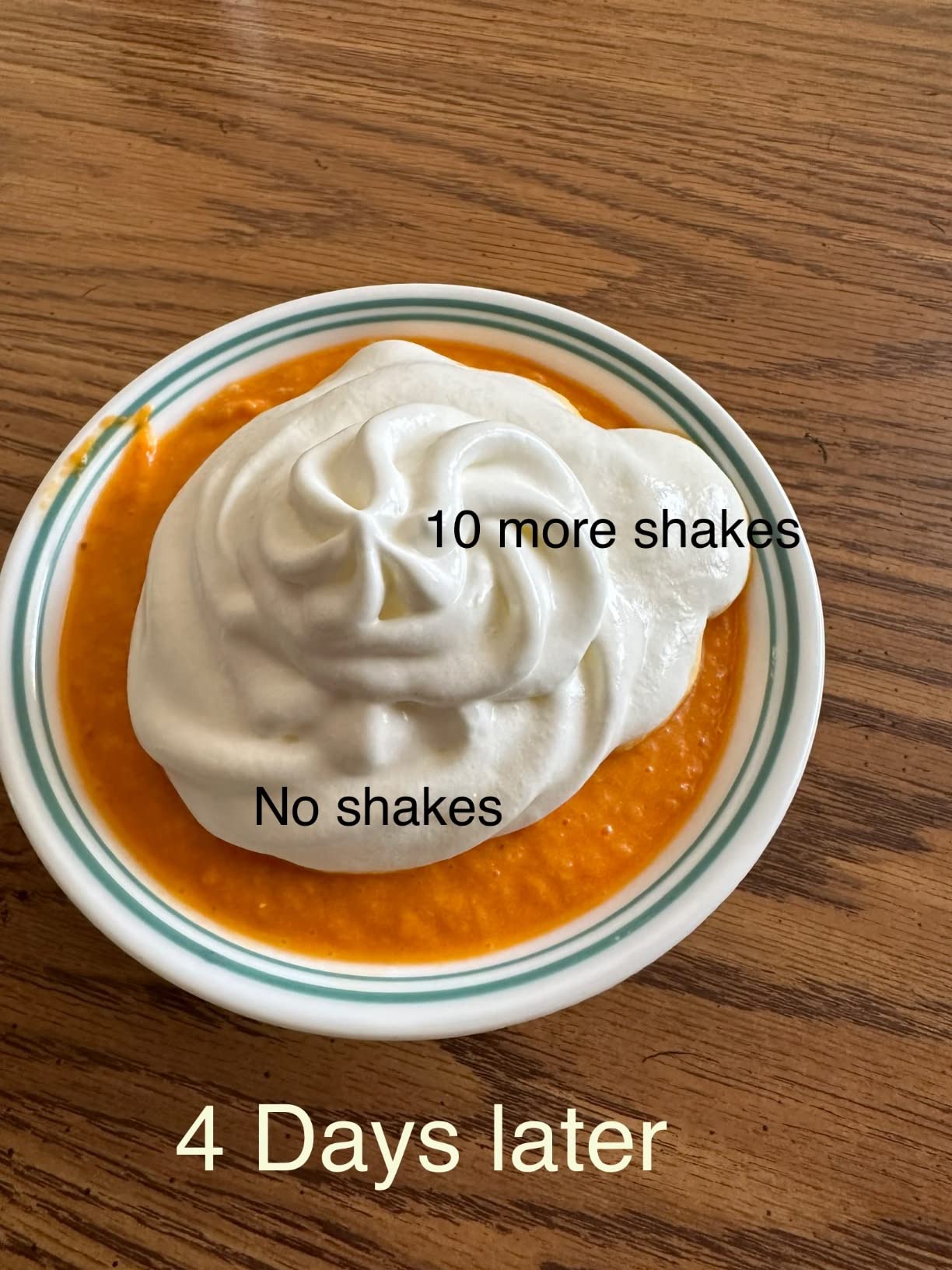 Professional Stainless Steel Whipped Cream Dispenser - 500 mL / 1 Pint, Includes 3 Decorating Nozzles, Cleaning Brush & Storage Bag - Ideal for Desserts, Coffee & Pastries (N2O Chargers Not Included) customer photo 1