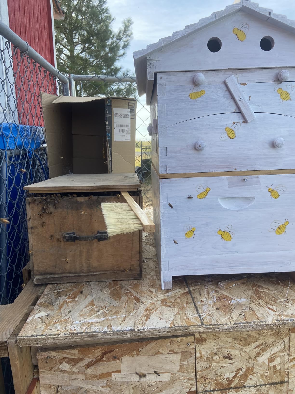 Flows Hive Beehive Complete Kit, Bee Hives Boxes Starter Kit - Wooden Beekeeping House Beehive Boxes, Food Grade BPA Free customer photo 1