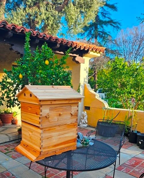 Flows Hive Beehive Complete Kit, Bee Hives Boxes Starter Kit - Wooden Beekeeping House Beehive Boxes, Food Grade BPA Free customer photo 2