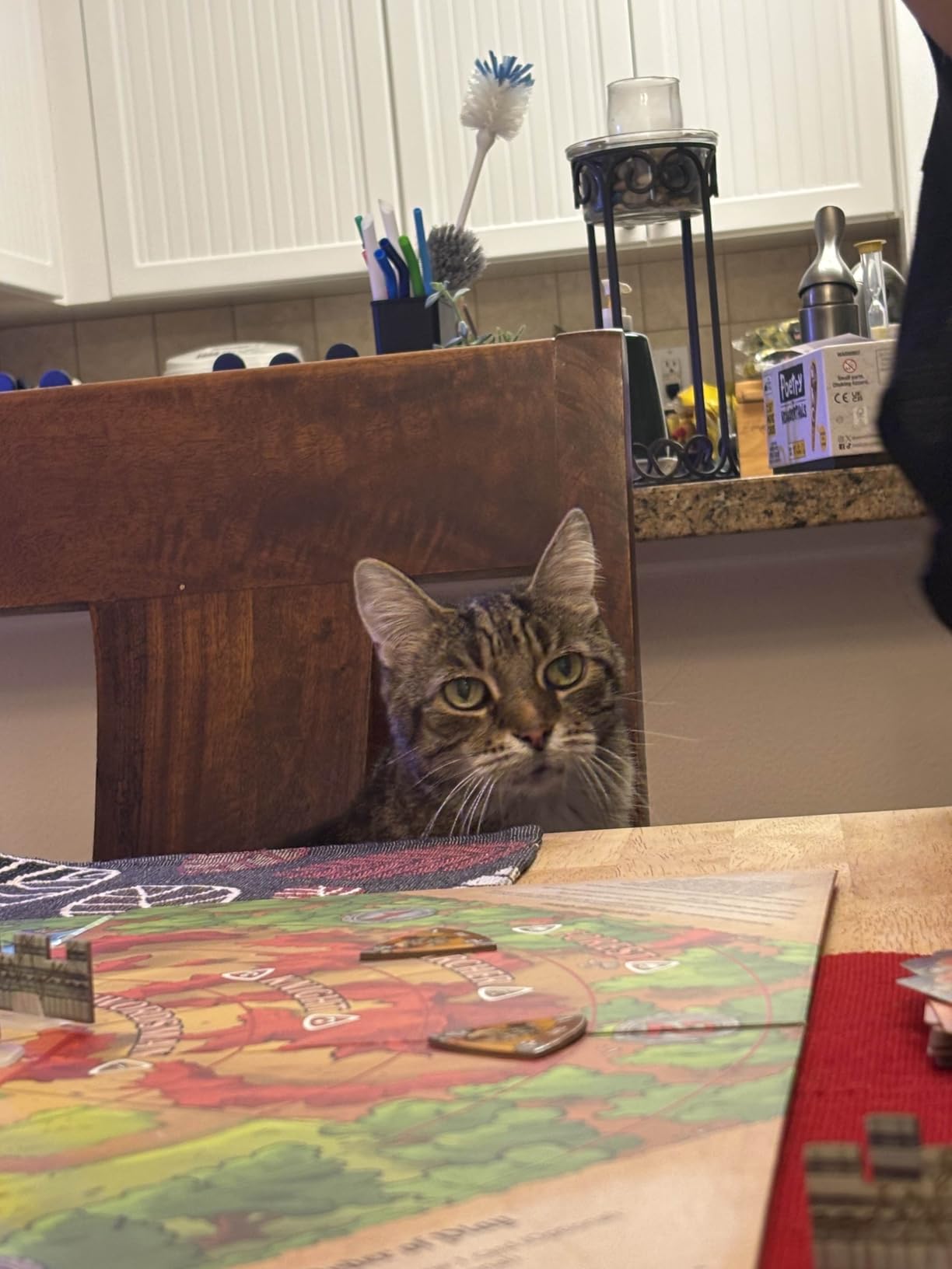 Castle Panic 2nd Edition | Cooperative Board Game for Adults and Family | Ages 8+ | for 1 to 6 Players customer photo 1
