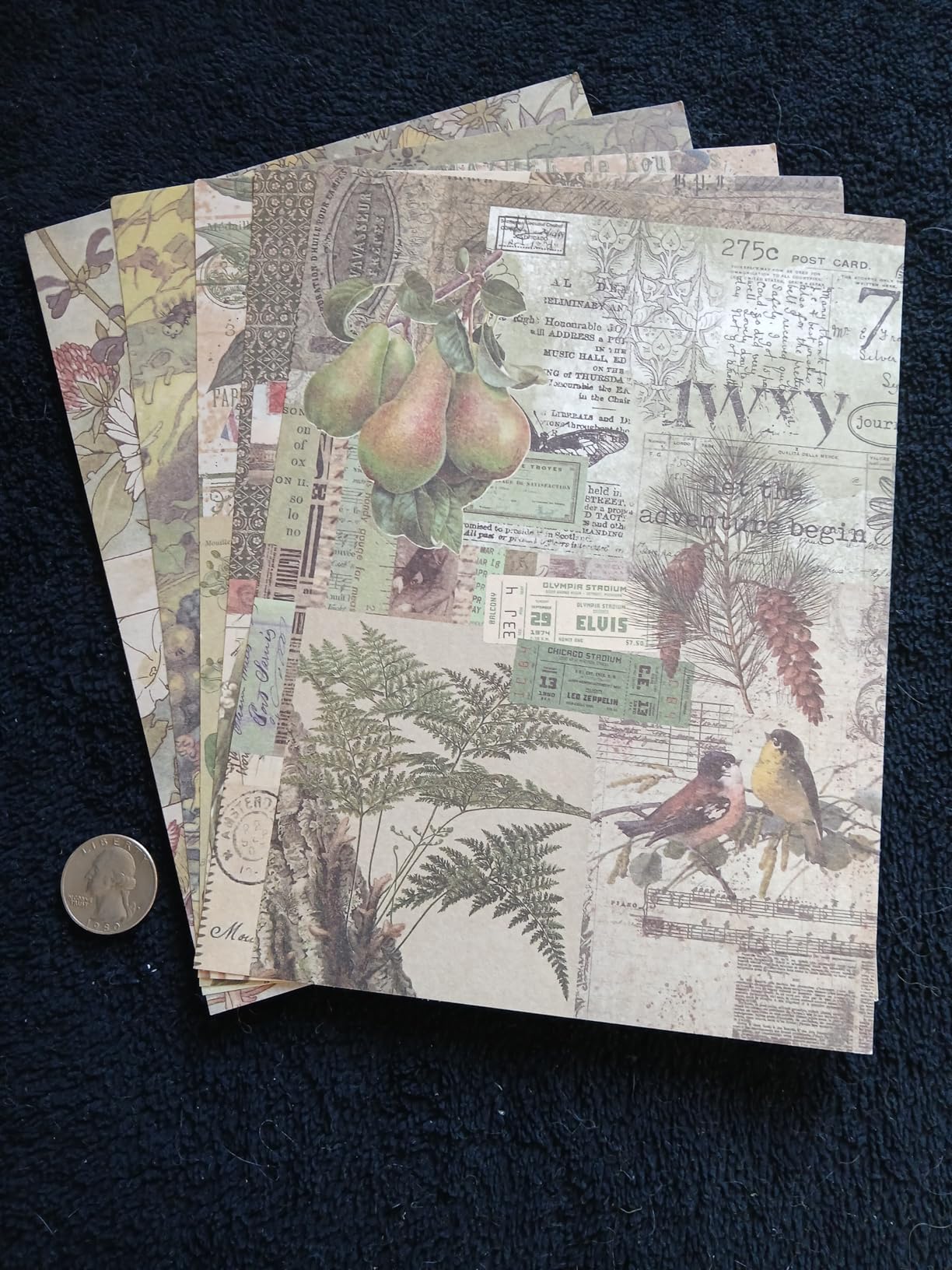 emmoolife Vintage Aesthetic Scrapbooking Supplies Kit, Flowers Botanical Bullet Junk Journal Kit with Journaling Supplies, Tweezers, A6 Grid Notebook,Stationery,Sticker, Birthday Craft Gift for Adult customer photo 2
