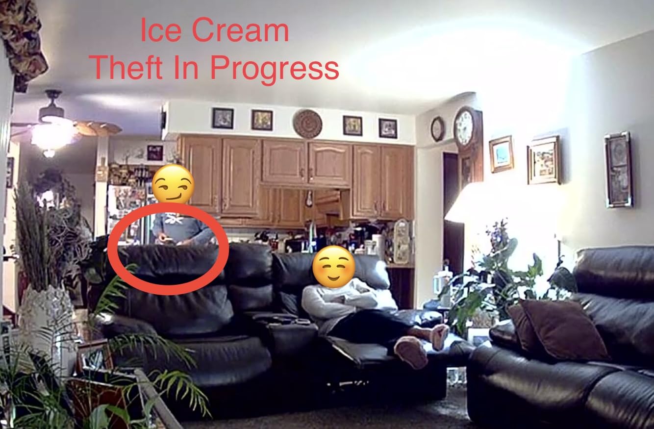 Ring Indoor Cam, Home or business security in 1080p HD video, White customer photo 1