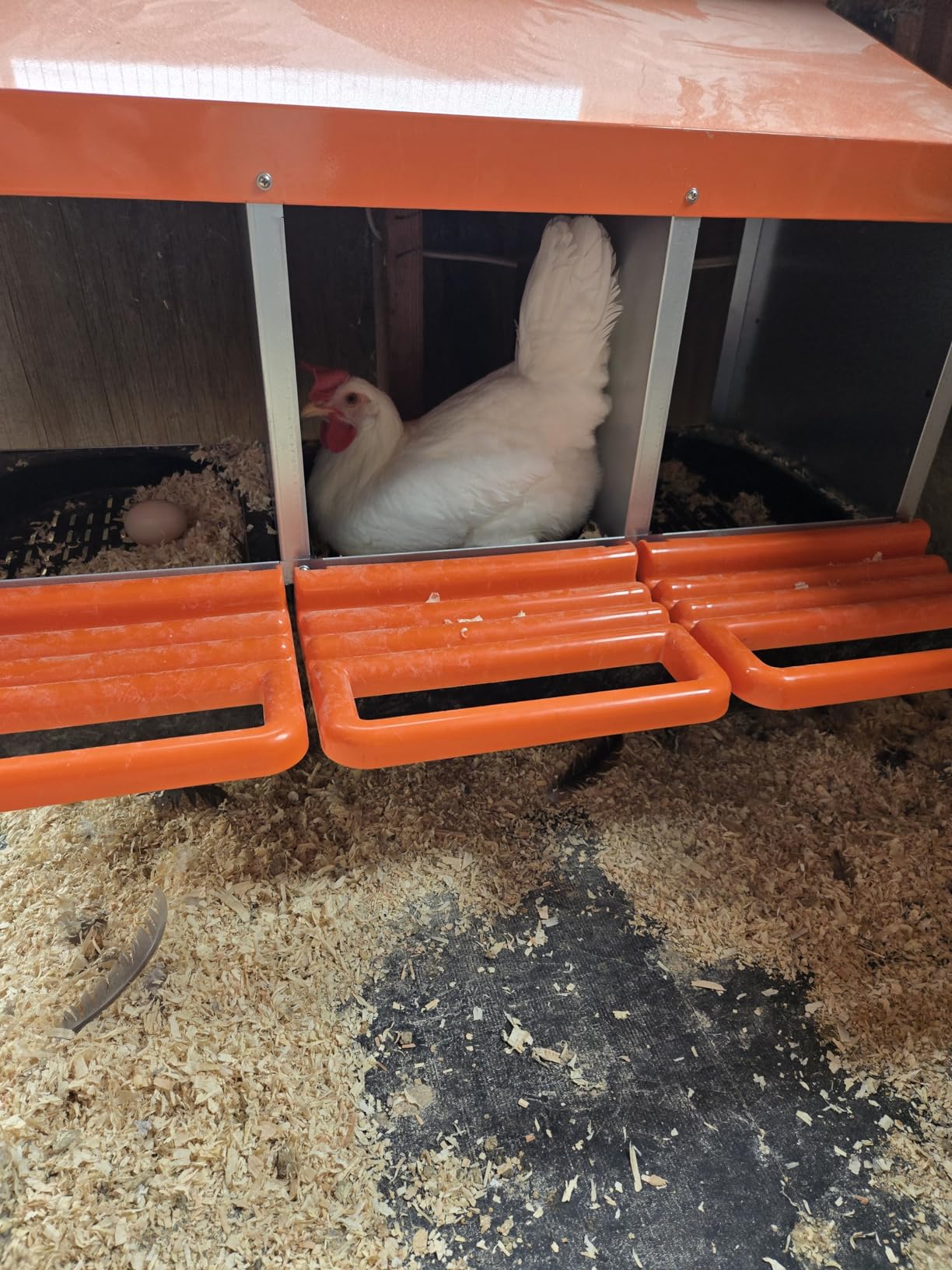 Chicken Nesting Boxes Metal Chicken Egg Laying Box with Swing Perch and Rollout Egg Collection customer photo 2