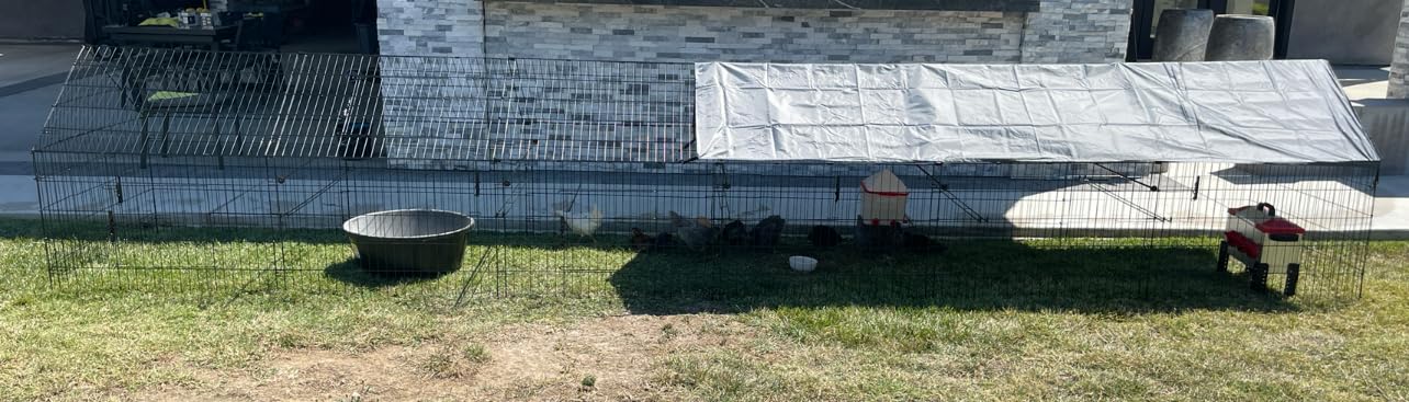 PawGiant Chicken Coop, Chicken Run Pen for Yard with Cover Outdoor Metal Portable Chicken Tractor Cage customer photo 2