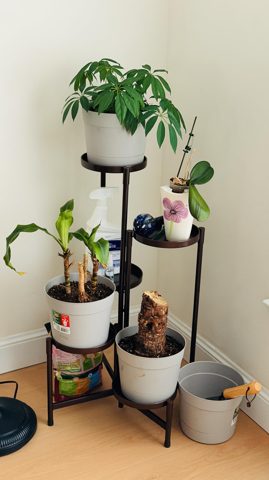 iDavosic.ly Plant Stand Indoor Outdoor, 5 Tier Corner Metal Flower Display Holder Shelf, Folding Tall Orchid Rack for Patio Balcony Porch Garden Living Room House, Black customer photo 1